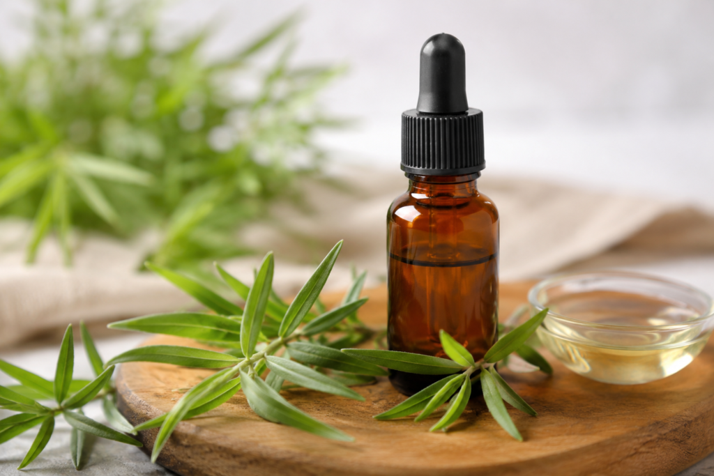 Tea tree oil preparation for Demodex and Rosacea used as a natural acaricidal skin treatment.